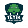TEYİK logo